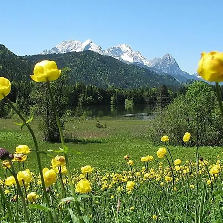 Zugspitze شقة